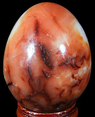 Colorful Carnelian Agate Egg #55536